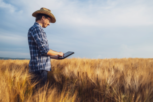 Agenor Vicente Pelissa