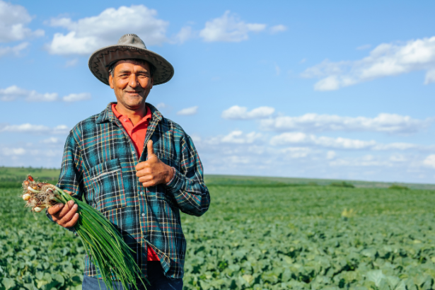 Agropecuária Grama Roxa Ltda