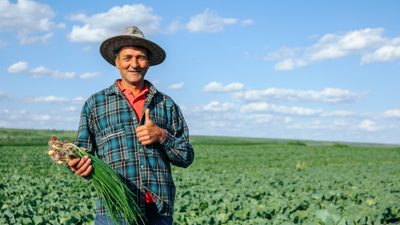 Agropecuária Grama Roxa Ltda