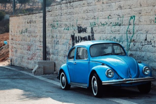 Bruno Rodrigues Quintas