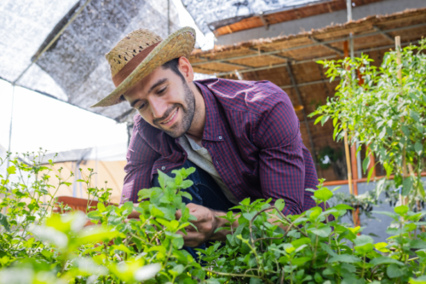 Paulo Augusto Berchielli