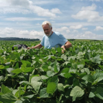 Aldo Vendramin destaca que neutralização de carbono real começa com métricas rastreáveis e ações consistentes.