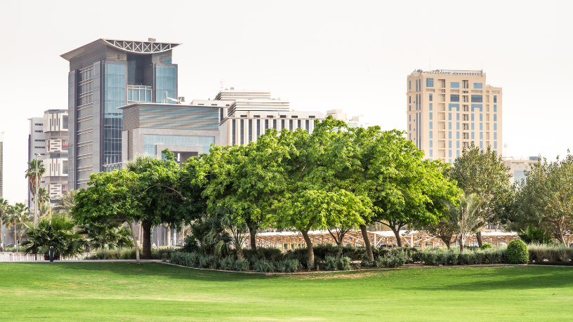 Áreas verdes nas cidades: Conheça os benefícios que transformam a vida urbana 2 Diohn do Prado