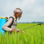 Agricultor com pulverizador costal aplica pesticida em uma plantação verde.