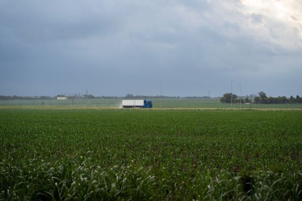 Caminhão semirreboque trafega por uma estrada rural entre plantações de milho, em Córdoba, na Argentina.