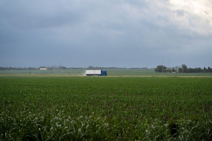 Caminhão semirreboque trafega por uma estrada rural entre plantações de milho, em Córdoba, na Argentina.